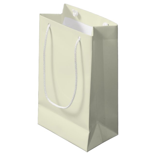 Beige Small Gift Bag (Front Angled)