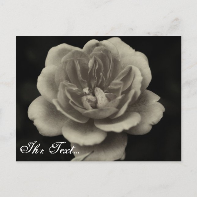 Beileidskarte Postcard (Front)