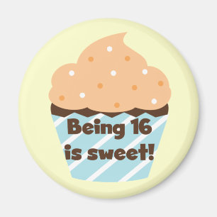 Being 16 is Sweet Birthday T shirts and Gifts Magnet