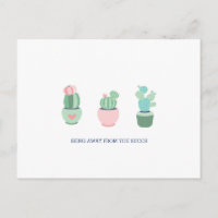 Being Away Succs Succulent Cacti