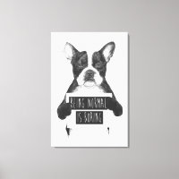 Being normal is boring