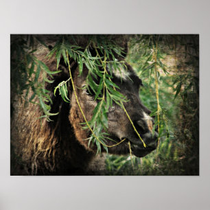 Being Onery Mini Filly Under the Willow Tree Poster