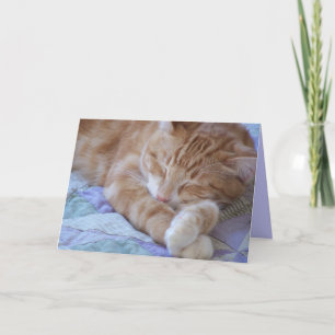 Being sick sucks card