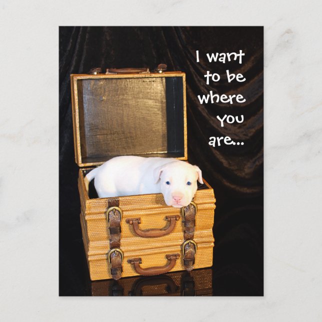 Being With You... Postcard (Front)