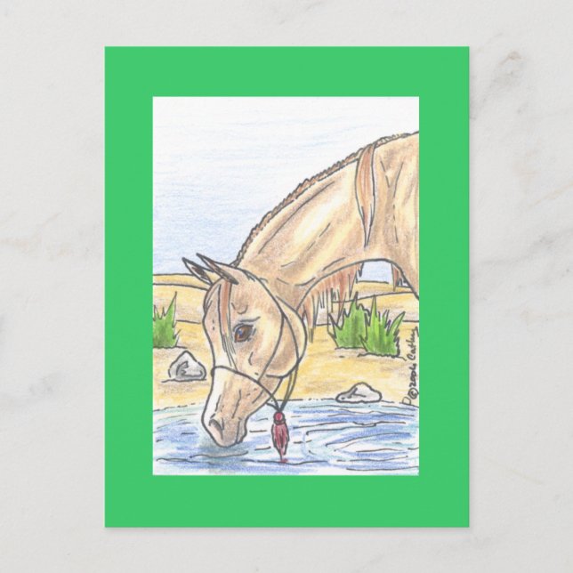 "Bejh bint Ahwa" Postcard (Front)