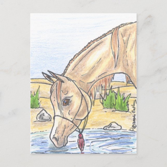 "Bejh bint Ahwa"  Postcard (Front)