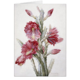 Bel art d'aquarelle de fleur de cactus