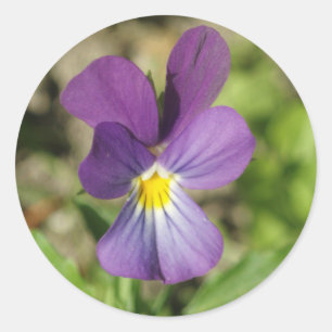 Bel autocollant violet de photo de fleur