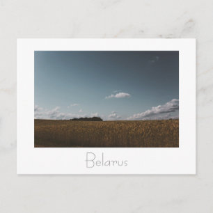 Belarus Беларусь Landscape Nature Postcard