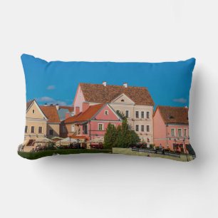 Belarus Беларусь Minsk Мінск Минск Cushion Pillow