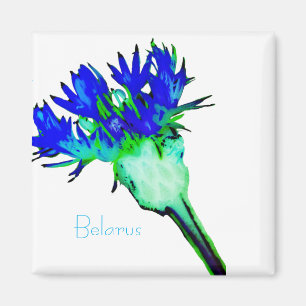Belarus Беларусь National Corn Flower Magnet