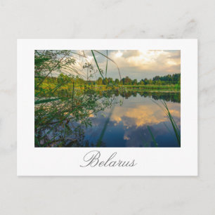 Belarus Беларусь Nature Scenery Landscape Postcard
