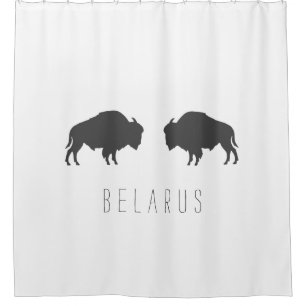 Belarus Belarusian Bison Зубр Беларусь Minimalism