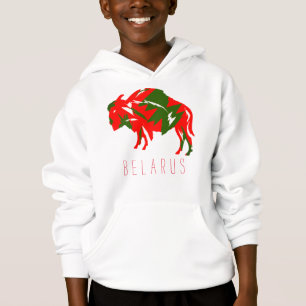 Belarus Belarusian Bison Зубр Беларусь Minimalism