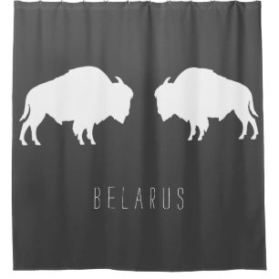 Belarus Belarusian Bison Зубр Беларусь Minimalism