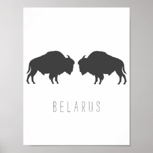 Belarus Belarusian Bison Зубр Беларусь Travel Poster
