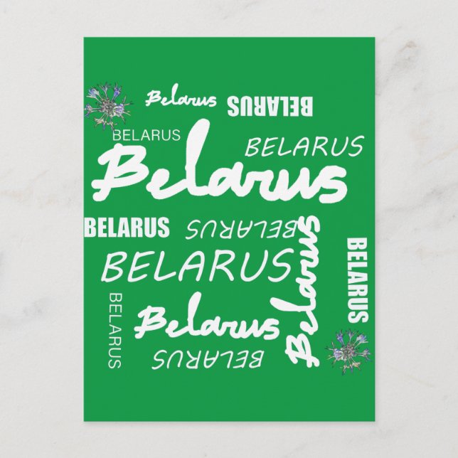 Belarus National Corn Flower Postcard (Front)