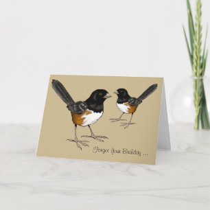 Belated Birthday, Bird Brain, Drawing of Birds Card