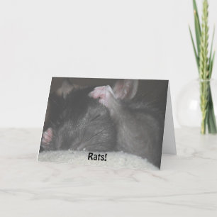 Belated Birthday Card