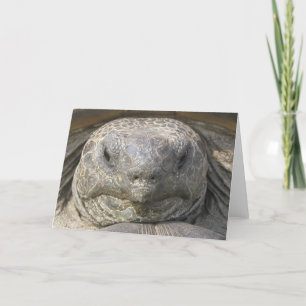 Belated Birthday Card