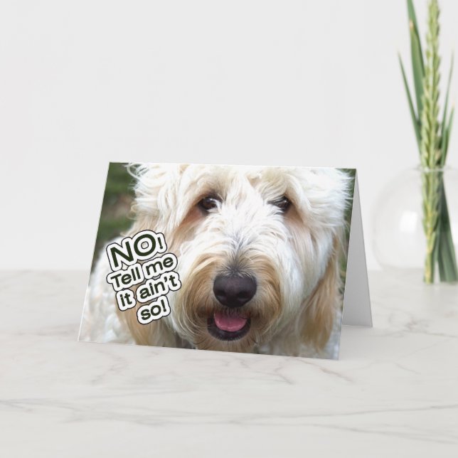 BELATED BIRTHDAY CARD - NO, TELL ME IT AIN'T SO (Front)