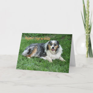 Belated Birthday-customize Card