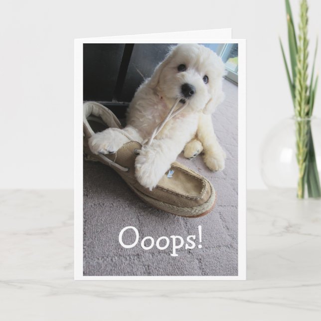 Belated Birthday, Cute Goldendoodle pup Humour Card (Front)