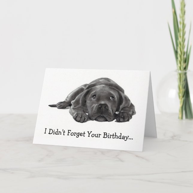 BELATED BIRTHDAY: DIDN'T FORGET: TOO LAZY, DOG CARD (Front)