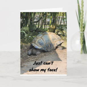 *BELATED* BIRTHDAY FROM LAZY TURTLE CARD