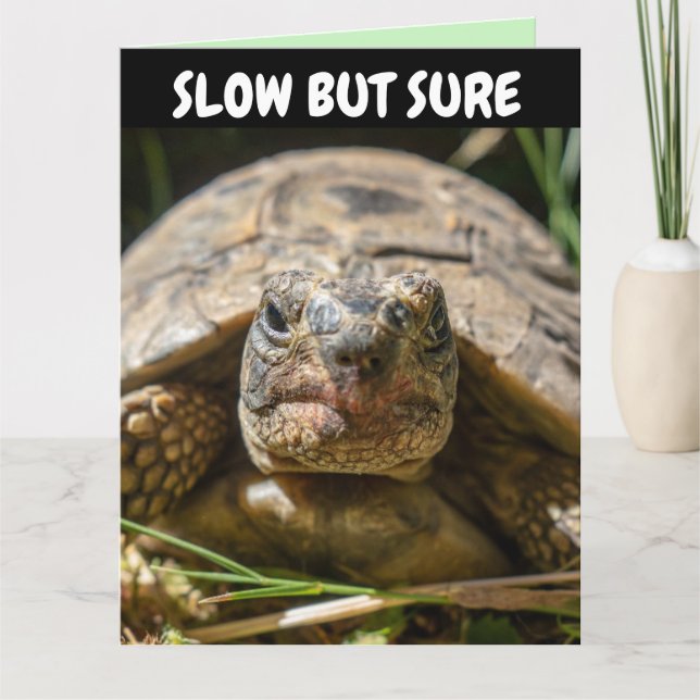 BELATED BIRTHDAY FUNNY TURTLE Greeting Card (Front)