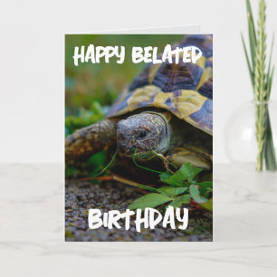 BELATED BIRTHDAY TURTLE BIG GREETING CARD