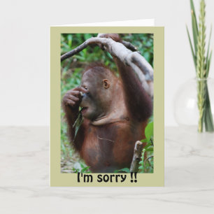 Belated Happy Birthday Card