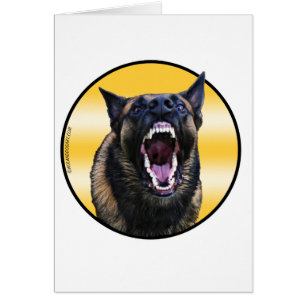 Belge de écorcement Malinois "Maligator "