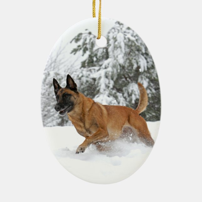 Belge Malinois en ornement 2 de neige (Dos)