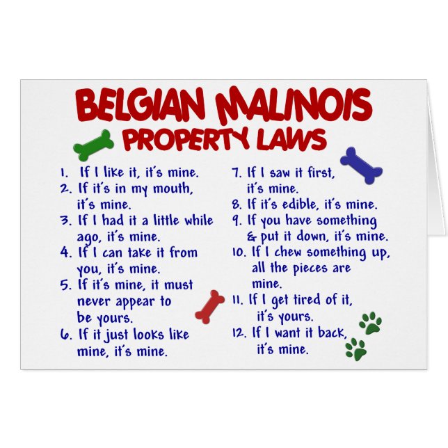 BELGE MALINOIS PL2 (Devant horizontal)