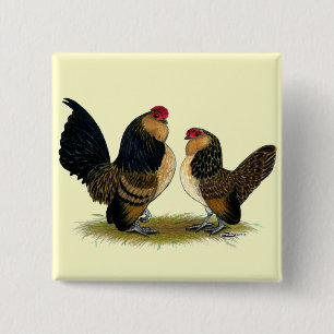 Belgian d'Anvers Bantams: Quail 2 Inch Square Button