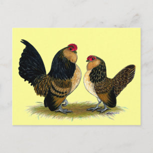 Belgian d'Anvers Bantams:  Quail Postcard