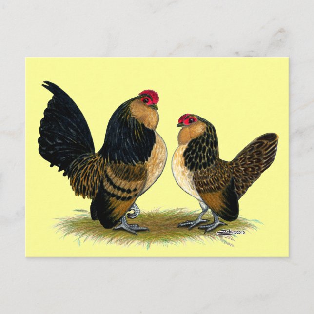 Belgian d'Anvers Bantams:  Quail Postcard (Front)