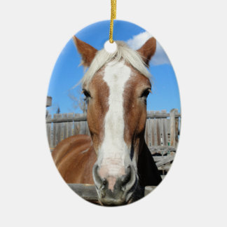 Belgian Draught Horse Ceramic Ornament