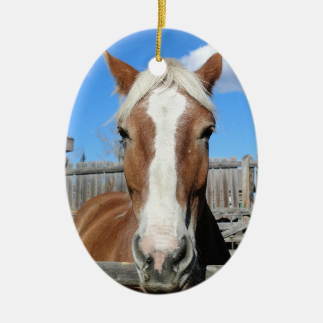Belgian Draught   Horse Ceramic Ornament (Front)