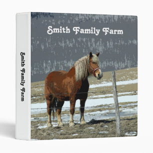 Belgian Draught Horse In Paddock Binder
