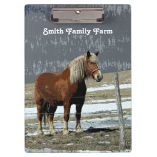 Belgian Draught Horse In Paddock Clipboard