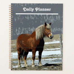 Belgian Draught Horse In Paddock Daily Planner