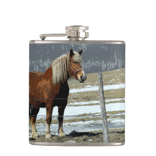 Belgian Draught Horse In Paddock Drink Flask