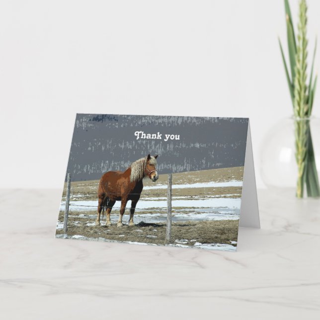 Belgian Draught Horse In Paddock Greeting Card (Front)