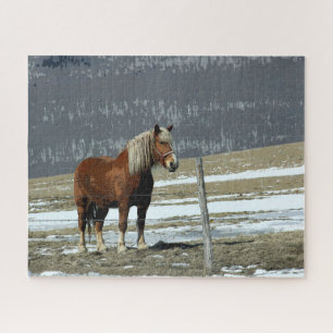 Belgian Draught Horse In Paddock Jigsaw Puzzle
