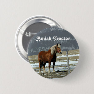 Belgian Draught Horse In Paddock Pin Button