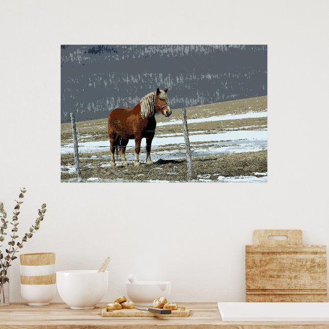 Belgian Draught Horse In Paddock Poster (Kitchen)