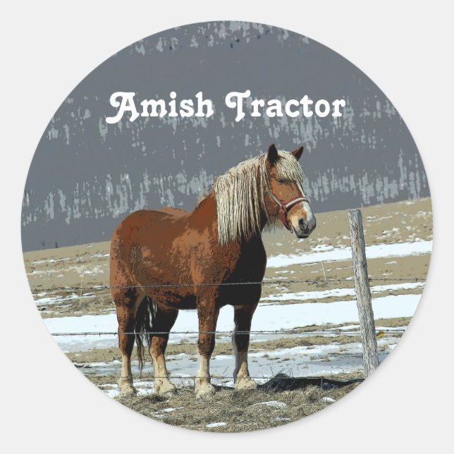 Belgian Draught Horse In Paddock Stickers (Front)