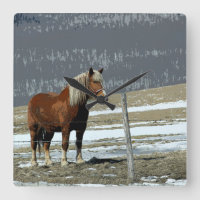 Belgian Draught Horse In Paddock Wall Clock